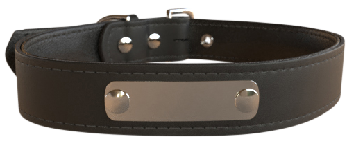 Personligt hundehalsbånd - Klassisk