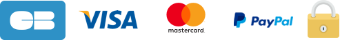 Payment systems logo